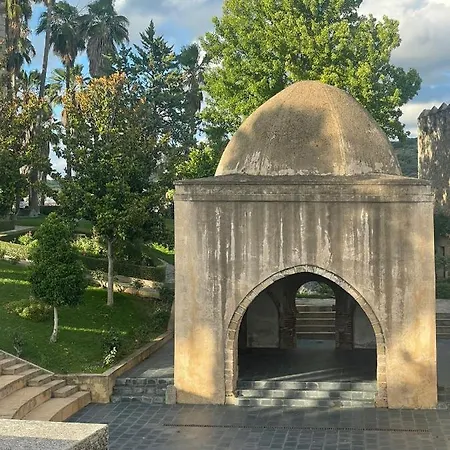 Estudio Tau
